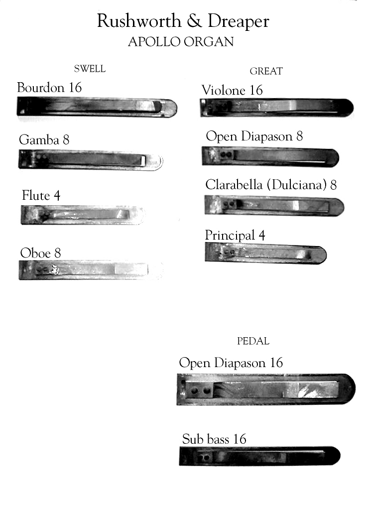 Organ Reeds